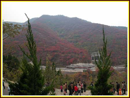 1498197144610190.jpg 法因數控